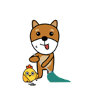 Nobu and Co (Shiba Inu and Chick)（個別スタンプ：4）