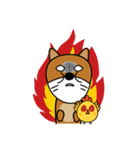 Nobu and Co (Shiba Inu and Chick)（個別スタンプ：6）