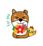 Nobu and Co (Shiba Inu and Chick)（個別スタンプ：7）