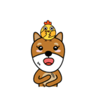 Nobu and Co (Shiba Inu and Chick)（個別スタンプ：10）