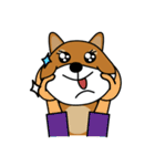 Nobu and Co (Shiba Inu and Chick)（個別スタンプ：30）