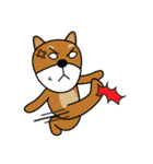Nobu and Co (Shiba Inu and Chick)（個別スタンプ：33）