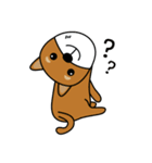 Nobu and Co (Shiba Inu and Chick)（個別スタンプ：35）
