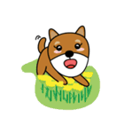 Nobu and Co (Shiba Inu and Chick)（個別スタンプ：37）