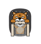 Nobu and Co (Shiba Inu and Chick)（個別スタンプ：39）
