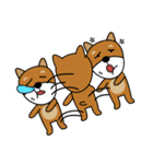 Nobu and Co (Shiba Inu and Chick)（個別スタンプ：40）