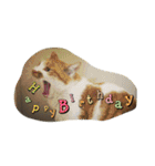 のリトラじるし vol.2（個別スタンプ：2）