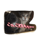 のリトラじるし vol.2（個別スタンプ：8）
