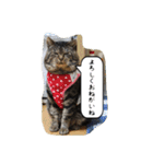 のリトラじるし vol.2（個別スタンプ：11）