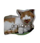 のリトラじるし vol.2（個別スタンプ：12）