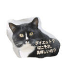 のリトラじるし vol.2（個別スタンプ：15）