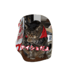 のリトラじるし vol.2（個別スタンプ：18）