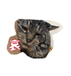 のリトラじるし vol.2（個別スタンプ：19）