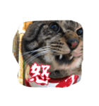 のリトラじるし vol.2（個別スタンプ：20）
