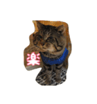 のリトラじるし vol.2（個別スタンプ：22）