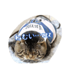 のリトラじるし vol.2（個別スタンプ：26）