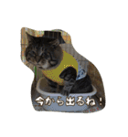 のリトラじるし vol.2（個別スタンプ：36）