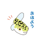 熱帯魚（個別スタンプ：2）