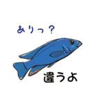 熱帯魚（個別スタンプ：8）