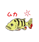 熱帯魚（個別スタンプ：14）