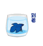 熱帯魚（個別スタンプ：26）