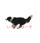 かいとりん2（個別スタンプ：2）