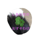 かいとりん2（個別スタンプ：3）