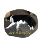 かいとりん2（個別スタンプ：5）
