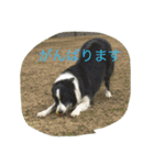 かいとりん2（個別スタンプ：7）