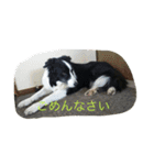 かいとりん2（個別スタンプ：9）