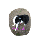 かいとりん2（個別スタンプ：21）