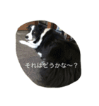 かいとりん2（個別スタンプ：27）