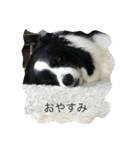 かいとりん2（個別スタンプ：36）