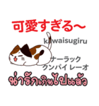 カワイイ猫日本語タイ語（個別スタンプ：7）