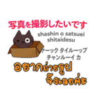 カワイイ猫日本語タイ語（個別スタンプ：8）