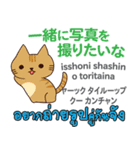 カワイイ猫日本語タイ語（個別スタンプ：10）