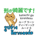 カワイイ猫日本語タイ語（個別スタンプ：18）