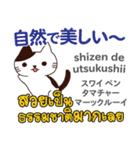 カワイイ猫日本語タイ語（個別スタンプ：20）