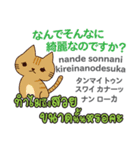 カワイイ猫日本語タイ語（個別スタンプ：21）