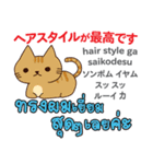 カワイイ猫日本語タイ語（個別スタンプ：25）