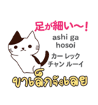 カワイイ猫日本語タイ語（個別スタンプ：40）