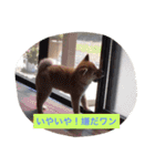 幸太郎のスタンプ（個別スタンプ：1）