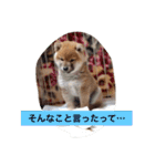 幸太郎のスタンプ（個別スタンプ：2）