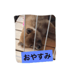 幸太郎のスタンプ（個別スタンプ：4）