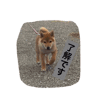 幸太郎のスタンプ（個別スタンプ：14）