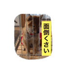 幸太郎のスタンプ（個別スタンプ：18）