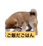 幸太郎のスタンプ（個別スタンプ：20）