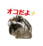 たれ耳うさぎのもふお君【第2弾】（個別スタンプ：10）