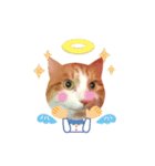 悪魔と天使のメインクーン（個別スタンプ：1）
