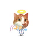 悪魔と天使のメインクーン（個別スタンプ：9）